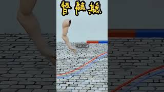 This 1831 Discovery Powers Your Home Today magnet electricity #magnet #electricity #power