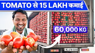 5 महीने में 15 लाख कमाओ 🍅💰Tomato Farming | IT इंजीनियर से ज्यादा कमाई 🚀Indian Farmer