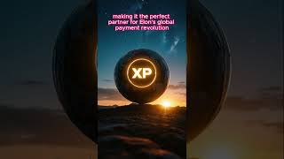 "X Payments SECRET Partner REVEALED!"