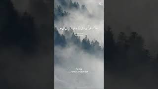 Surah Ghafir#turnbacktoallah #allahuakbar #quranictranslation