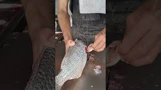 Fish cutting machine #trending #trendingshorts g
