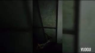 may multo sa ilalim ng hagdan sa b.house namin..