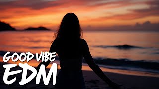 EDM Relax: Flow Chill 🎧 EDM for Concentration, Inspiration & Inner Peace