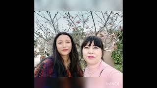 Incredible Chardham Namchi #sikkimtour