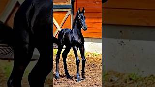 power of transformetion ☠️☠️🤯