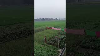 #nuture #motivation #fild #greenground #shortsvideo  #Ritikamaurya