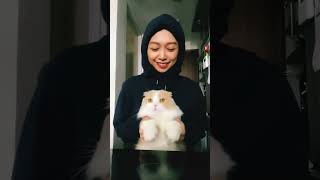 #kucinglucu #cat #kucingimut #catlover #cats #kucing