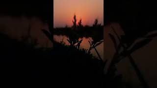 💚✨Nature Mast magan whatsapp status 4k|full screen|#nature #shorts #mastmaganlofi
