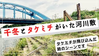 【東京卍リベンジャーズ】千冬とタケミチが話していた川に行ってきました！