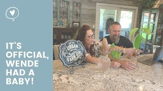 It's All About Wende and Her Favorite Renovation Tip!