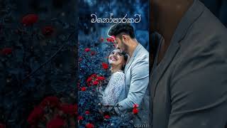 Hama heenema | හැම හීනෙම 🌺#shorts  #sinhalasongs #new #sinhala #slowedandreverb