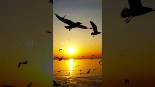 - 5 𝘁𝗲𝗰𝗵𝗻𝗶𝗾𝘂𝗲𝘀 𝘁𝗼 𝗸𝗲𝗲𝗽 𝘁𝗵𝗲 𝗺𝗶𝗻𝗱 𝗰𝗮𝗹𝗺 | #shortvideo #motivationalquotes8