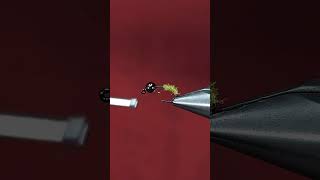Chewy Cased Caddis