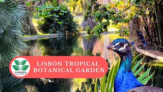 HIDDEN Tropical Paradise!  Lisbon Tropical Botanical Garden (Jardim Botânico Tropical)