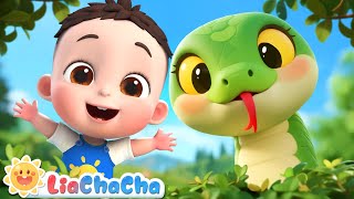 I'm a Snake 🐍 | EP205 | Farm Animals Song | Nursery Rhymes & Kids Songs | LiaChaCha