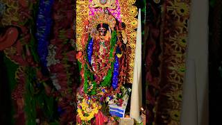 Subho Bijoya❤️🙏🌸#bengaliculture #kalipuja #FestivalVibes #BengaliCulture #DiwaliNight