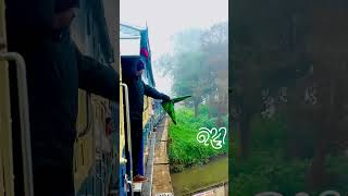 ഊട്ടി 😊