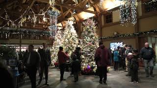 Holiday Lights at Minnesota Landscape Arboretum.