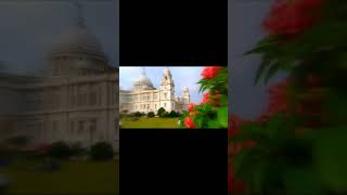 Main tera main tera whatsapp status video #shorts #nature