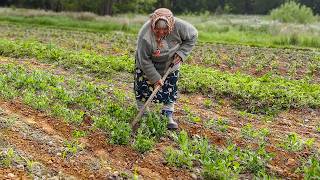 Happy Old Age of a Nice Couple in an Old Village Far from Civilization at the End of the World!