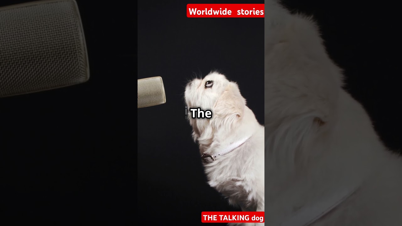 サムネ