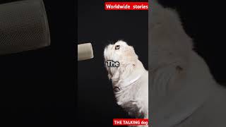 The Talking Dog stories