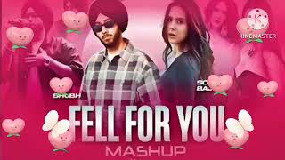 Punjabi / Remix / New Mashup 2025