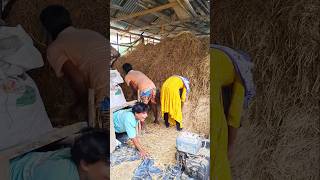 #unfrezzmyaccount #dancecover #dancer #love #তোমারপিন্দনেরশাড়িতে #tiktokviralsong
