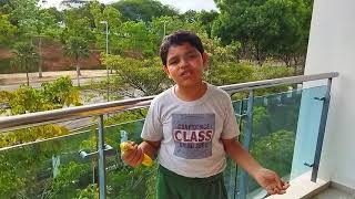 Fruits always a better option than junk food !