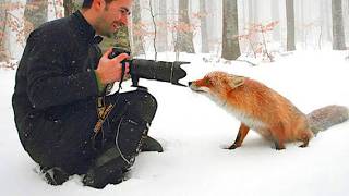 Best Animals Turned the Camera on the Photographer 🤪 Funny Animal Videos 2025