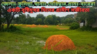একটি বৃষ্টিমুখর দিনের গ্রামীণ সজীবতা |কুমিল্লা জেলার বারেরা গ্রাম|A Rainy Day In Village