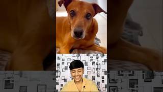 try not to laugh part 3 #hindifunny #satyamrox #comedyreelsindia #funnyclip2025 #funnyclipindia #yt