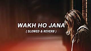 Wakh Ho Jana [ Slow+Reverb ] - ( Gurnam Bhullar & Sonam Bajwa )@chillvibes-e1x