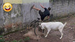 Try Not To Laugh 🤣 Top 100 Funniest Videos Ever 🎬🔥 Memes, Epic Fails & Pranks Compilation Part 36