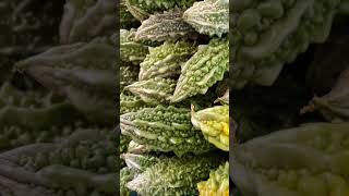 TAHUKAH KAMU PERBEDAAN BUAH VS SAYUR?