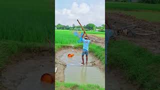 #unfrezzmyaccount #dancecover #dancer #তোমারপিন্দনেরশাড়িতে #love #tiktokviralsong #banglanewda