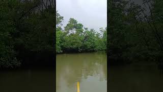 #minivlog #travel #tour#tourism #views #travelvlog #nature