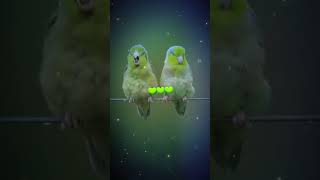 Kareeb ao tumari tanhaiya mita doh #money #money #emoney_site #emoney_site #viralvideo #dmoney #em
