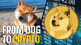 What Is Dogecoin Cryptocurrency (Don't Ignore this Elon Musk Tweet)