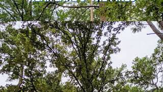 Unrestricted .24 acre lot