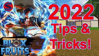 BLOX FRUITS TIPS AND TRICKS 2022! Update 17 Part 2