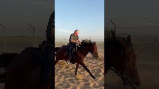 Galloping in the desert 🏜️🐴 #alalistable #dubaihorse #horseriding #horse #dubailife
