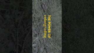 Chose between the first, the second and third clip and let me know your favorite! #cinematic