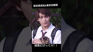千葉真一の息子は成長しました。