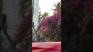 #trend#SwagLife #viralvideo