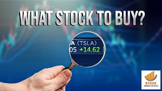 How Can You Master the Art of Stock Picking?