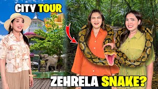 Zehreela Snake Hath Mein Pakar Liya?😰🐍|Colombo City Tour🇱🇰😍|Sari Raat Fireworks Chalay🎇🤩|Sistrology