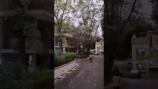 Storm in XLRI Campus ⛈️🌪 #xlri #storm #shorts #mba