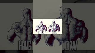 Bodybuilding Genetics: Muscle Insertions