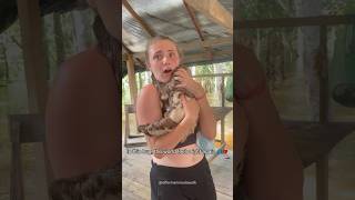 彼らがあなたを信頼することを選んだ瞬間❤️‍🩹🥹#愛 #動物 #ショートパンツ #fyp #抱擁 #暖かい #ペット #あなたのために